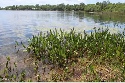 Lot 6 Arnone Lane, Chipley, FL 32428 - Photo 13