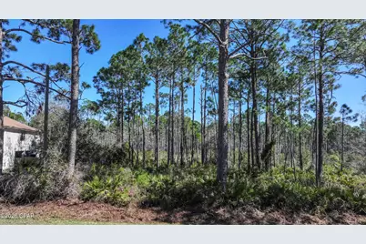 Lot 5 Sr 30-A, Port Saint Joe, FL 32456 - Photo 5