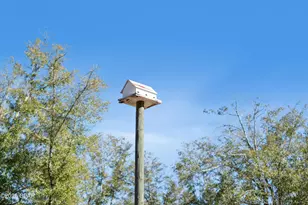 7020 SW Capt Lynn Rd, Kinard, FL 32449 - Photo 69