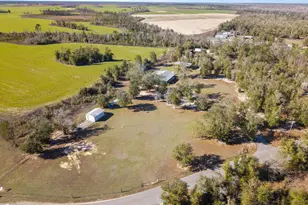 7020 SW Capt Lynn Rd, Kinard, FL 32449 - Photo 55