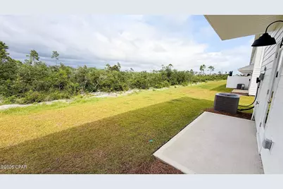 223 Salt Creek Lane, Mexico Beach, FL 32456 - Photo 5