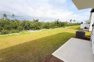 223 Salt Crk Ln, Mexico Beach, FL 32456 - Photo 5