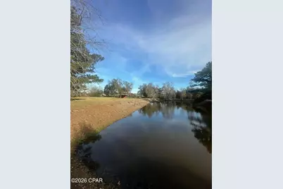 7293 Highway 90, Grand Ridge, FL 32442 - Photo 3