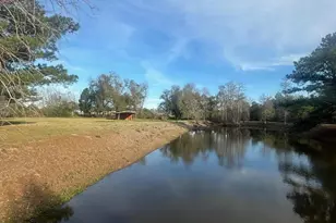 7293 Hwy 90, Grand Ridge, FL 32442 - Photo 3