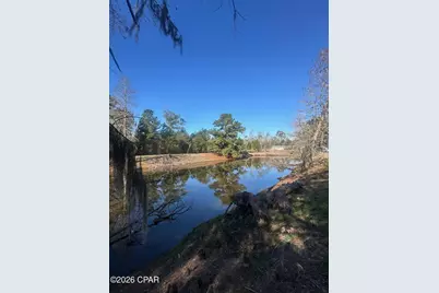 7293 Highway 90, Grand Ridge, FL 32442 - Photo 31