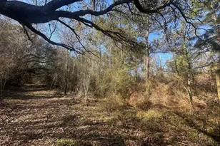 7293 Hwy 90, Grand Ridge, FL 32442 - Photo 35