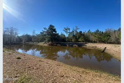 7293 Highway 90, Grand Ridge, FL 32442 - Photo 33