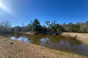 7293 Hwy 90, Grand Ridge, FL 32442 - Photo 33