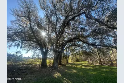 7293 Highway 90, Grand Ridge, FL 32442 - Photo 3