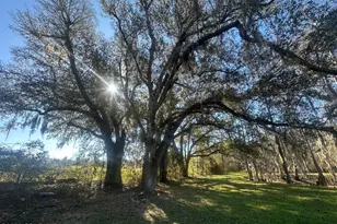 7293 Hwy 90, Grand Ridge, FL 32442 - Photo 3