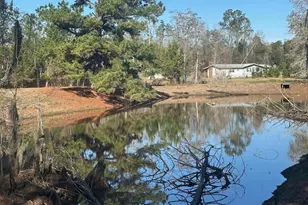 7293 Hwy 90, Grand Ridge, FL 32442 - Photo 29