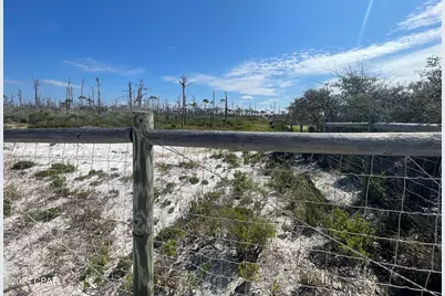 206 Bent Tree Road, Cape San Blas, FL 32456 - Photo 9
