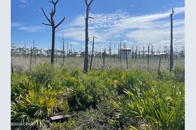 206 Bent Tree Road, Port Saint Joe, FL 32456 - Photo 13