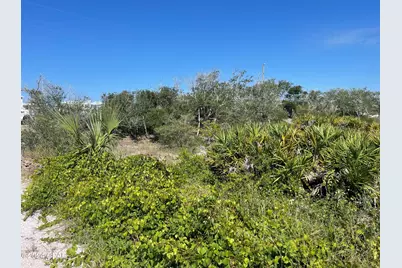 206 Bent Tree Road, Cape San Blas, FL 32456 - Photo 5