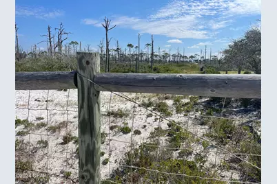 206 Bent Tree Road, Cape San Blas, FL 32456 - Photo 7
