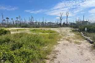 206 Bent Tree Rd, Port Saint Joe, FL 32456 - Photo 1