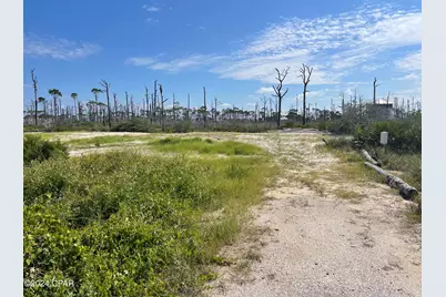 206 Bent Tree Road, Cape San Blas, FL 32456 - Photo 3