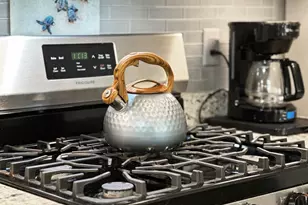 106 Washboard Ct, Port Saint Joe, FL 32456 - Photo 7