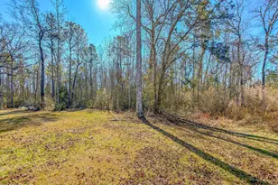 11953 NW Lake Mystic Duggar Rd, Bristol, FL 32321 - Photo 41