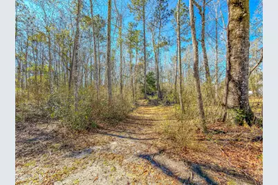 11963 NW Lake Mystic Duggar Road, Bristol, FL 32321 - Photo 9
