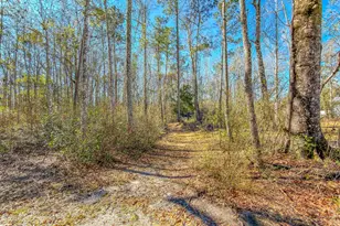 11963 NW Lake Mystic Duggar Rd, Bristol, FL 32321 - Photo 9