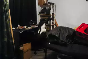 11963 NW Lake Mystic Duggar Rd, Bristol, FL 32321 - Photo 25