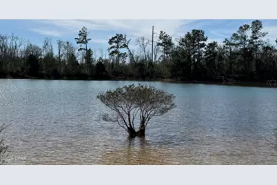 00 New Hope Road, Marianna, FL 32448 - Photo 1