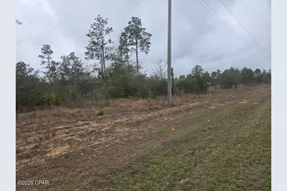 0000 NW Cr 274, Altha, FL 32421 - Photo 3