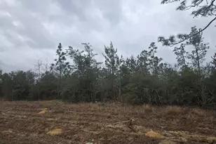 0000 NW Cr 274, Altha, FL 32421 - Photo 1