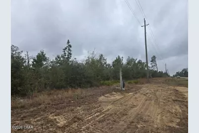 0000 NW Cr 274, Altha, FL 32421 - Photo 7