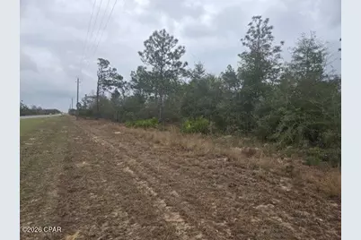 0000 NW Cr 274, Altha, FL 32421 - Photo 5