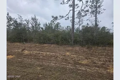 0000 NW Cr 274, Altha, FL 32421 - Photo 9