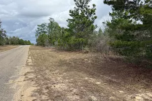 Xxx Independence Dr, Chipley, FL 32428 - Photo 1