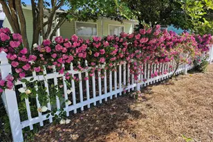 208 El Prado Pl, Panama City Beach, FL 32413 - Photo 31