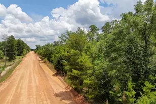 2447 Greenhead Rd, Chipley, FL 32428 - Photo 39