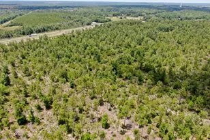 2447 Greenhead Rd, Chipley, FL 32428 - Photo 35