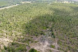 2447 Greenhead Rd, Chipley, FL 32428 - Photo 33