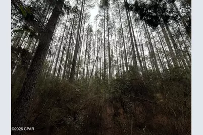 00 Red Oak Lane, Bonifay, FL 32425 - Photo 5