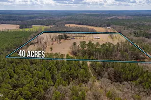 686 Alford Rd, Defuniak Springs, FL 32433 - Photo 49