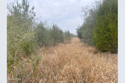 0000 Stanley Road, Westville, FL 32464 - Photo 9