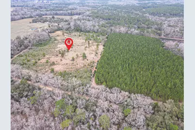 0000 Stanley Road, Westville, FL 32464 - Photo 7