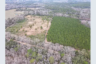 0000 Stanley Road, Westville, FL 32464 - Photo 1