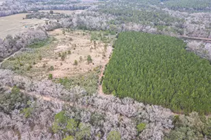 0000 Stanley Rd, Westville, FL 32464 - Photo 1