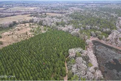 0000 Stanley Road, Westville, FL 32464 - Photo 3