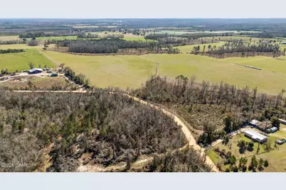 0 Swaills Road, Alford, FL 32420 - Photo 7