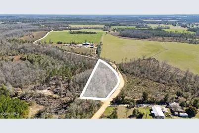 0 Swaills Road, Alford, FL 32420 - Photo 1