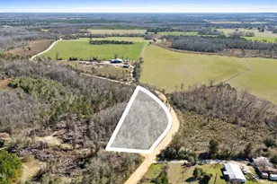 0 Swaills Rd, Alford, FL 32420 - Photo 1