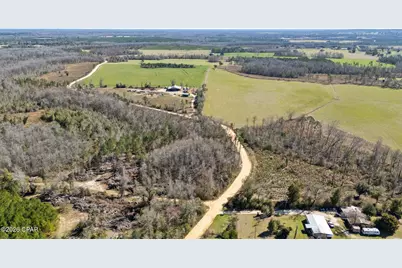 0 Swaills Road, Alford, FL 32420 - Photo 3