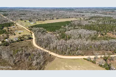 0 Swaills Road, Alford, FL 32420 - Photo 5