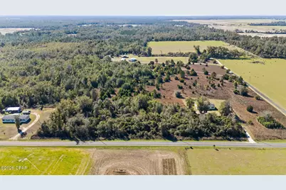 0 Willis Road, Greenwood, FL 32443 - Photo 7